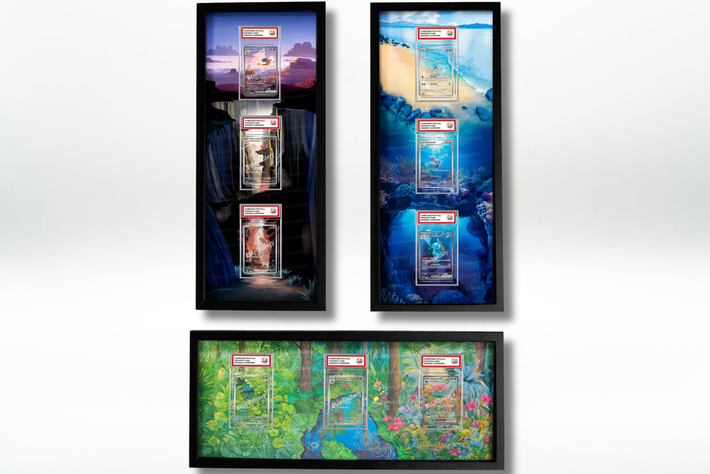 Trio Starter Kanto from 151 | Display Frames EttaGallery Trio Starter Kanto from 151 | Display Frames EttaGallery
