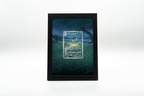 Ledian from Stellar Crown | Display Frame