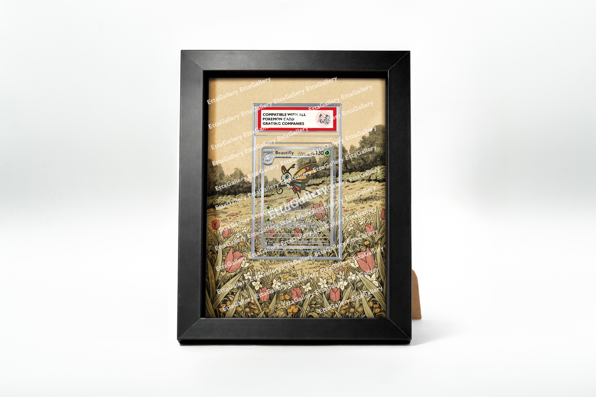 Beautifly from Ascended Heroes | Display Frame