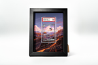 Charizard ex from 151 | Display Frame