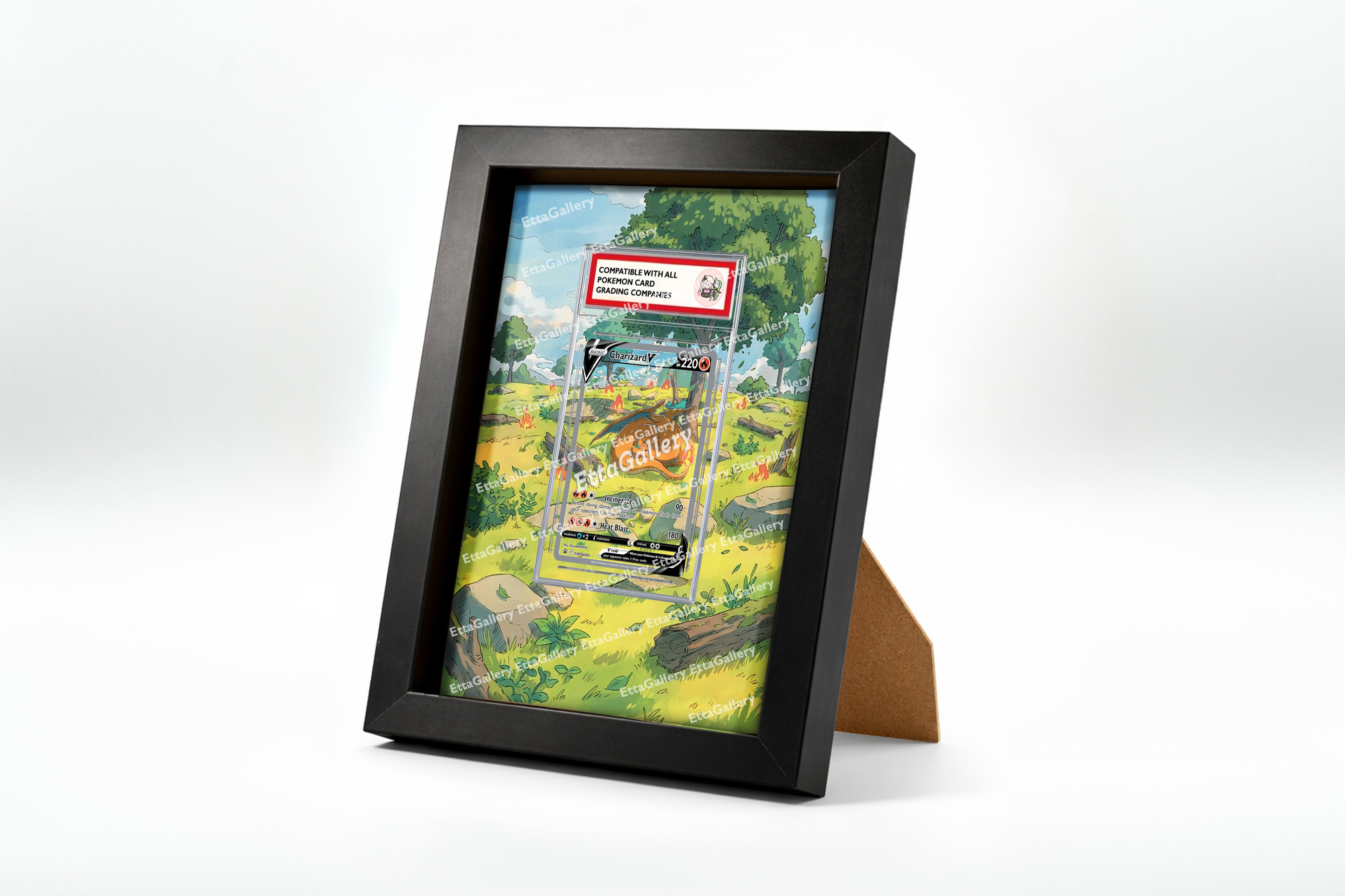 Charizard V from SWSH Promo | Display Frame