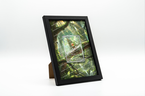 Chespin from Chaos Rising | Display Frame