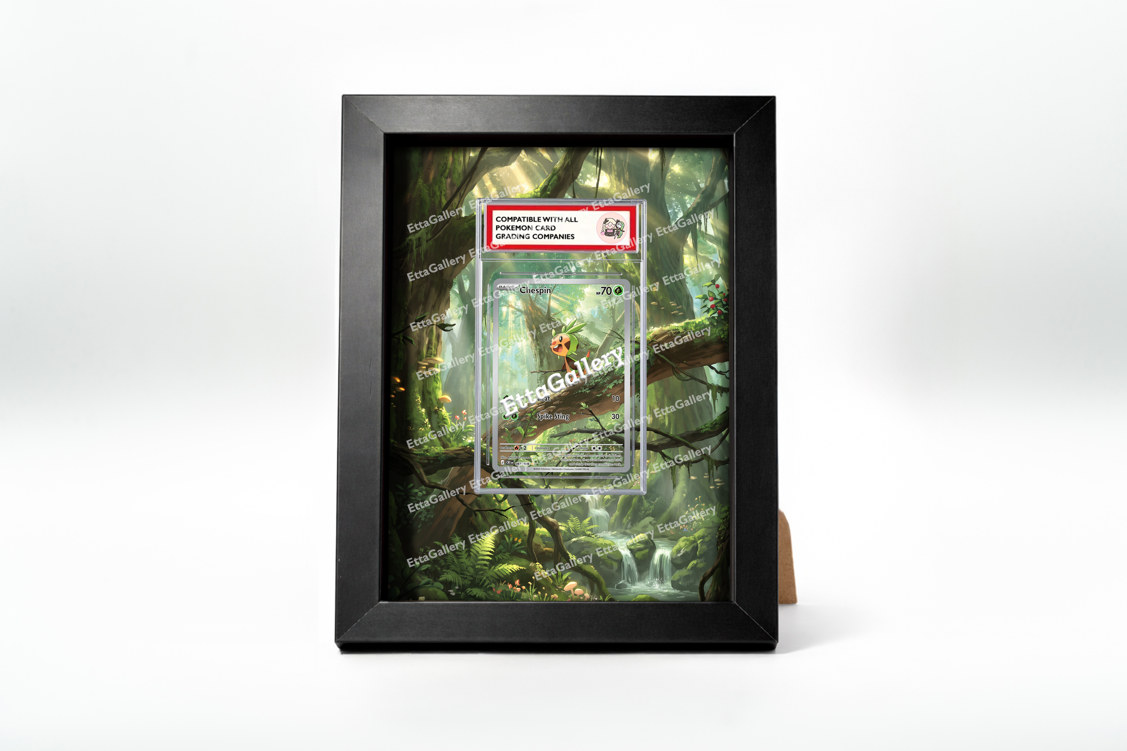 Chespin from Chaos Rising | Display Frame