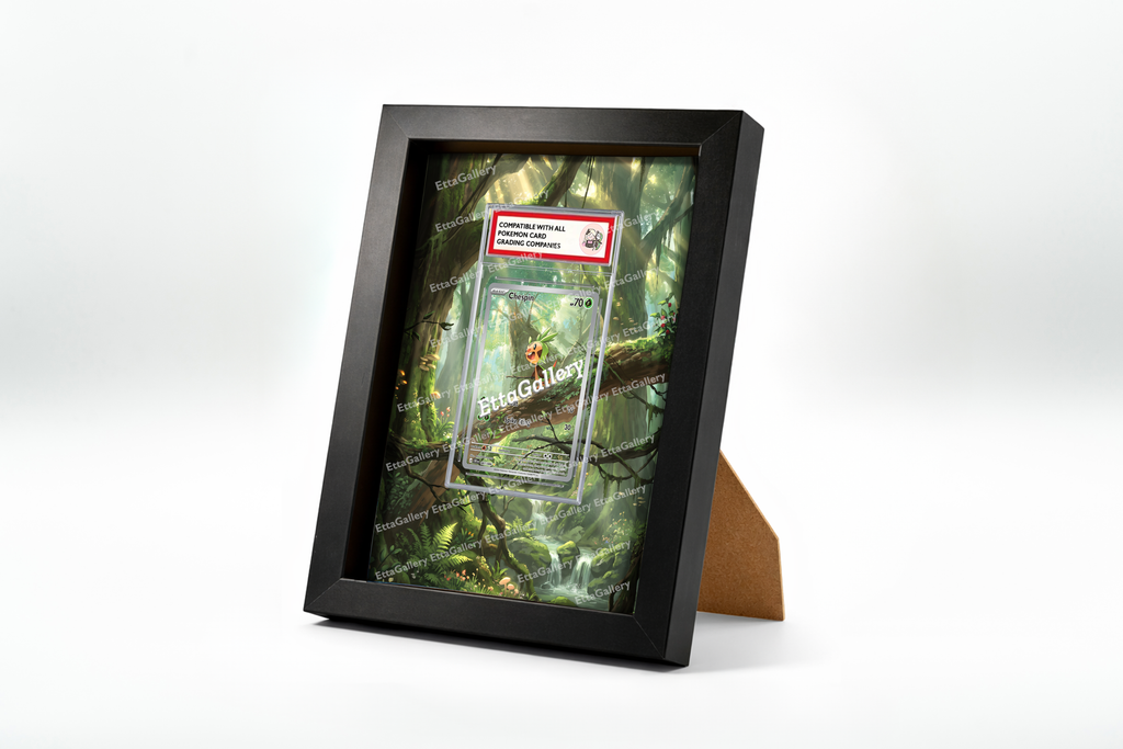 Chespin from Chaos Rising | Display Frame