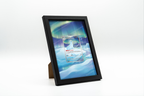 Dewgong from Phantasmal Flames | Display Frame