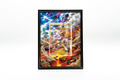 Entei and Raikou Legend from Unleashed | Display Frame