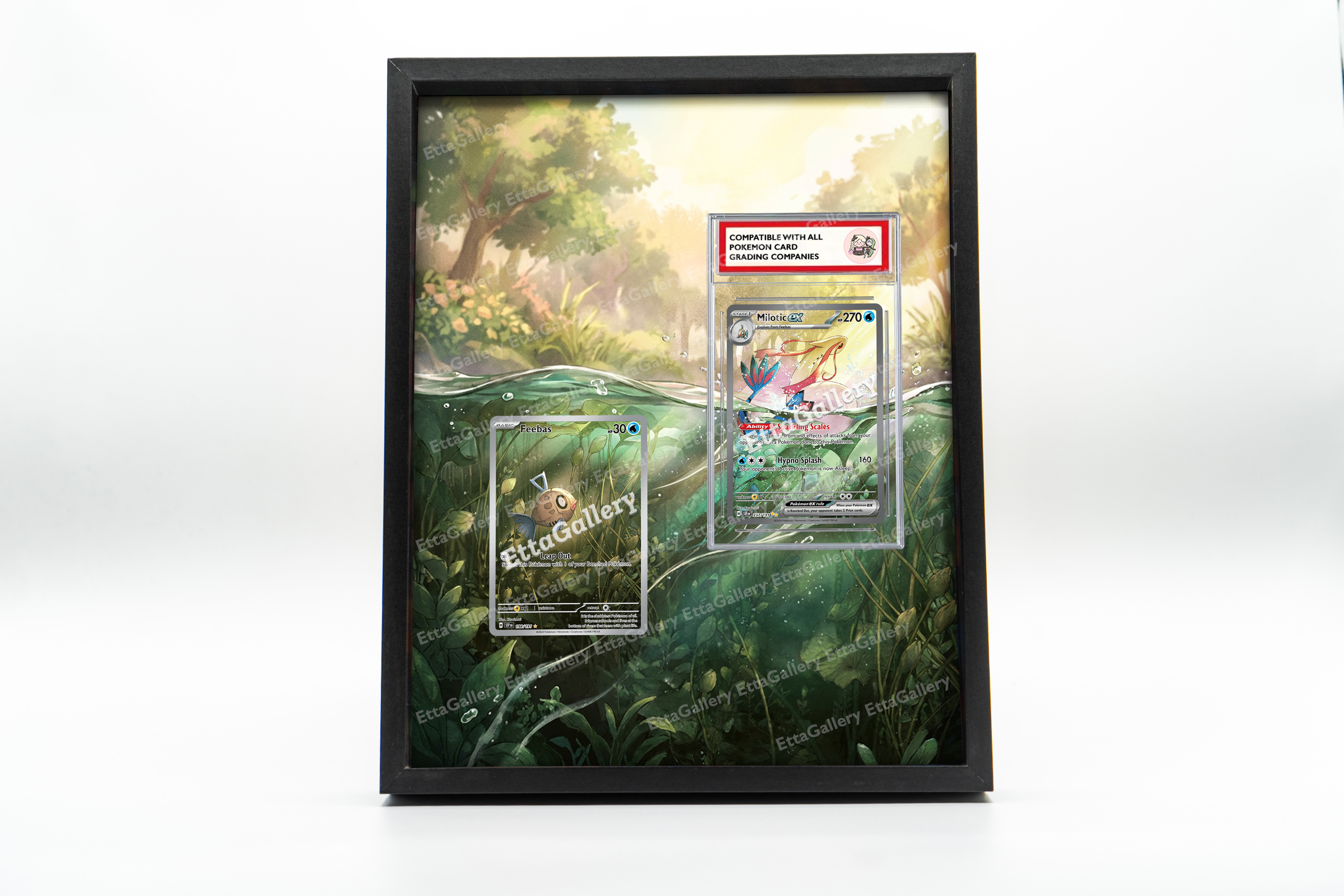 Feebas and Milotic ex from Surging Sparks | Display Frame