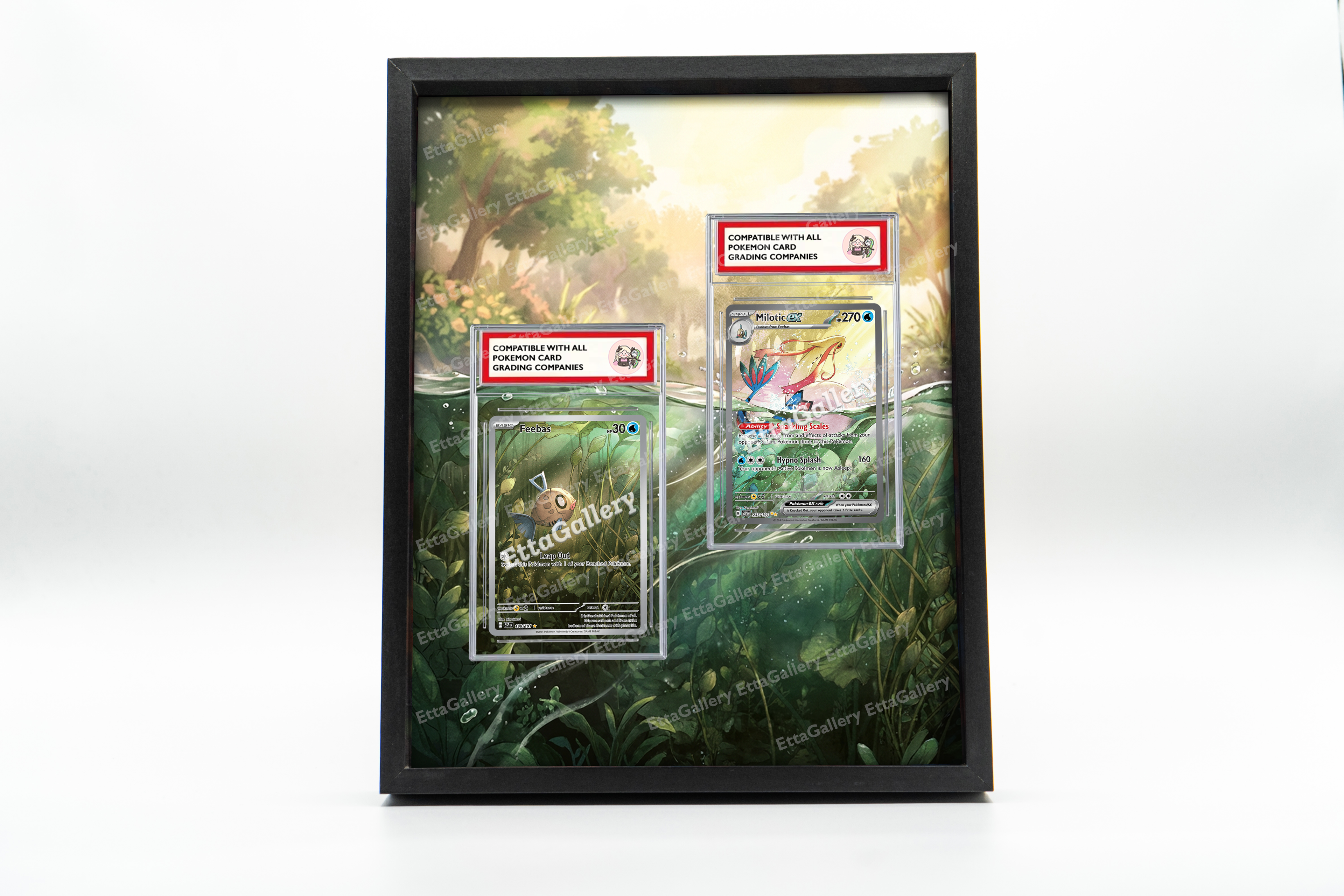 Feebas and Milotic ex from Surging Sparks | Display Frame