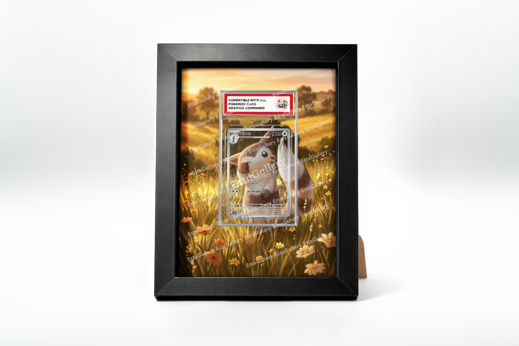 Furret from Journey Together | Display Frame