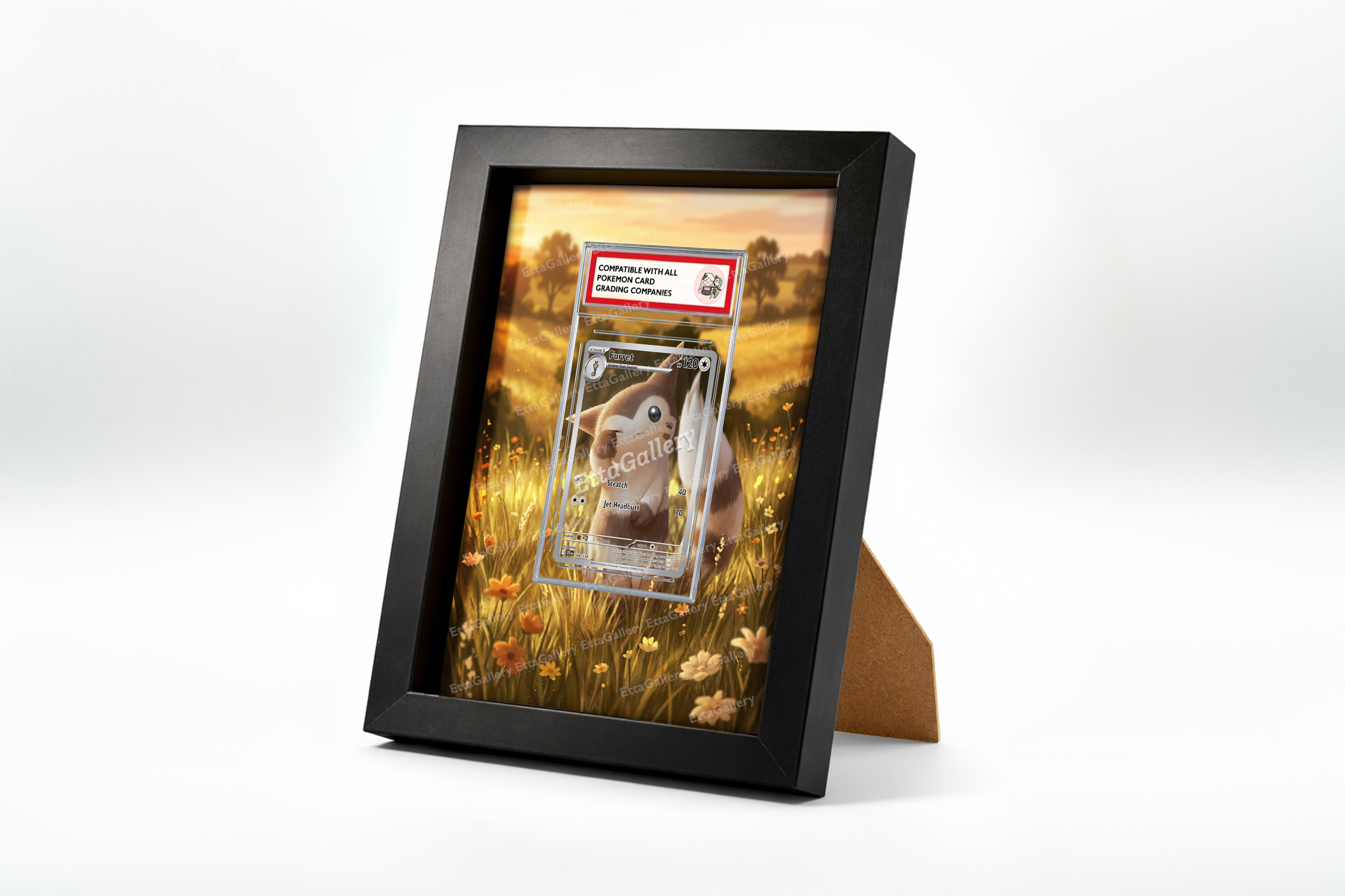 Furret from Journey Together | Display Frame