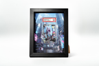 Mewtwo V from Pokémon GO | Display Frame