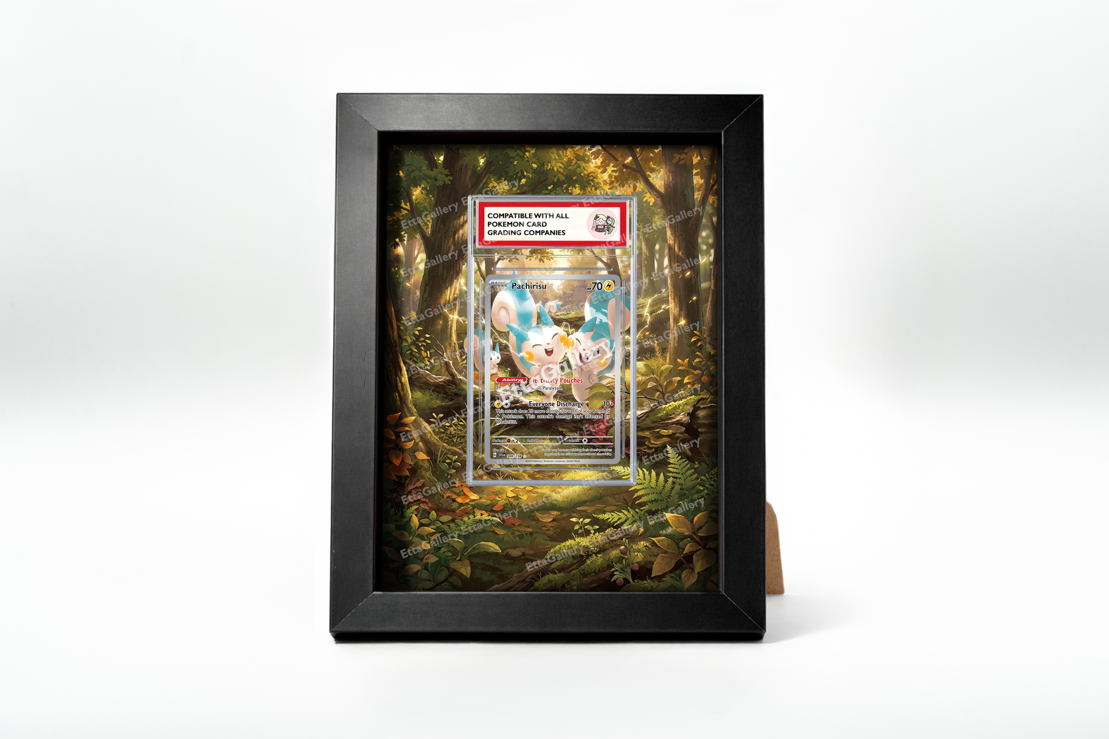 Pachirisu from Scarlet and Violet | Display Frame