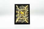 Pikachu EX from XY Promo | Display Frame