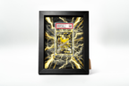 Pikachu EX from XY Promo | Display Frame