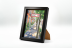 Sudowoodo from Paldea Evolved | Display Frame