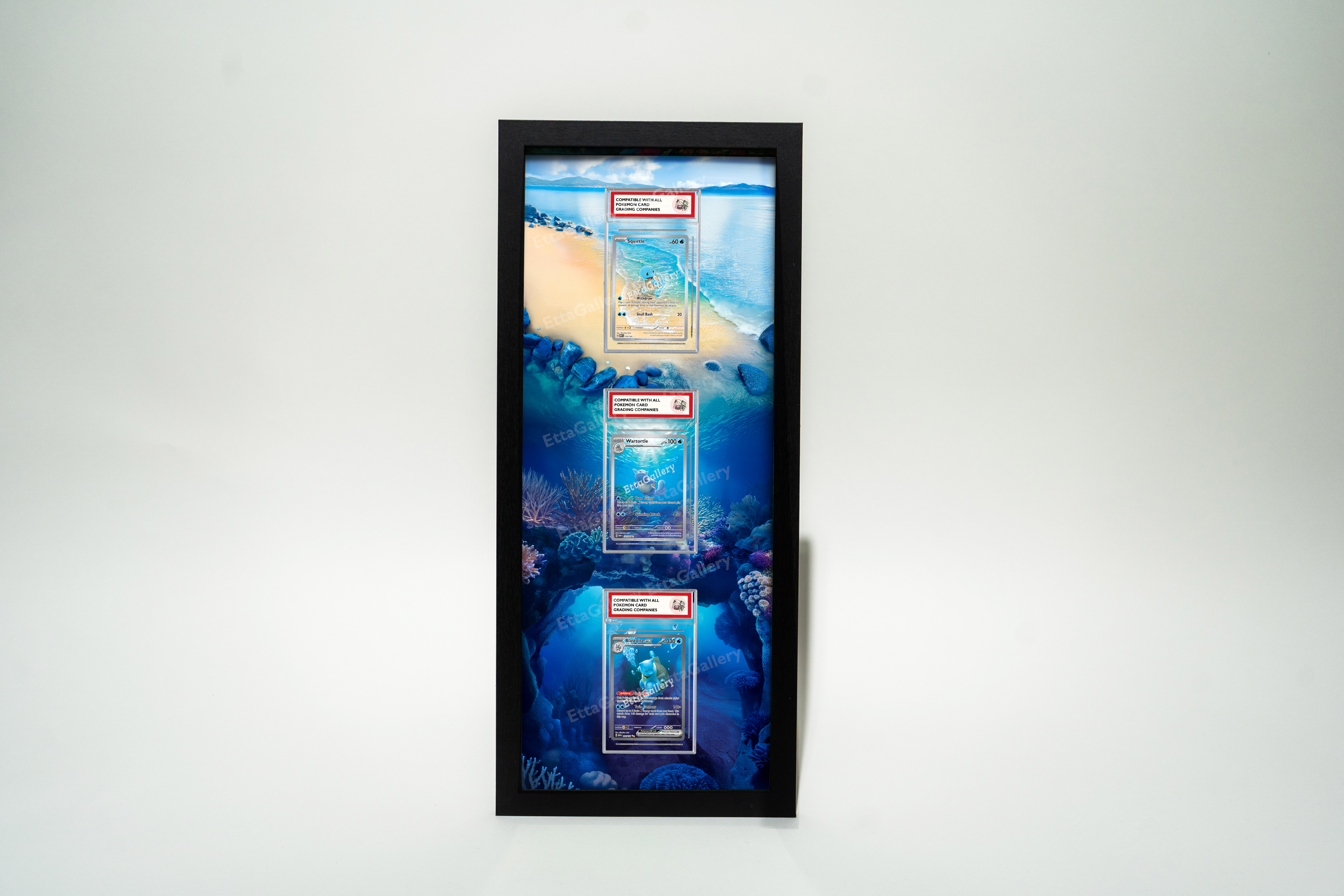 framed 151 pokemon cards Squirtle, Wartortle and Blastoise ex from 151