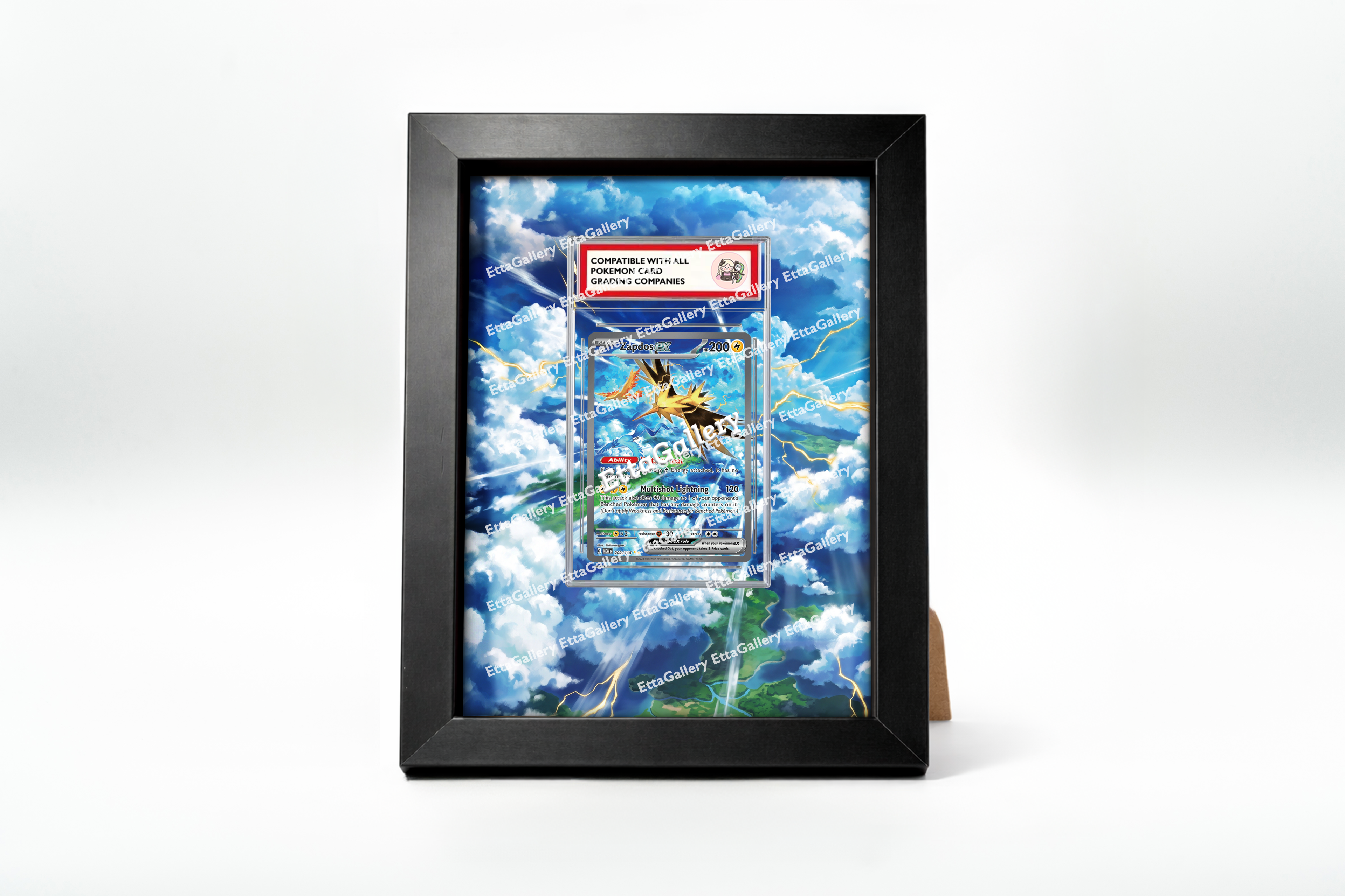 Zapdos ex from 151 | Display Frame