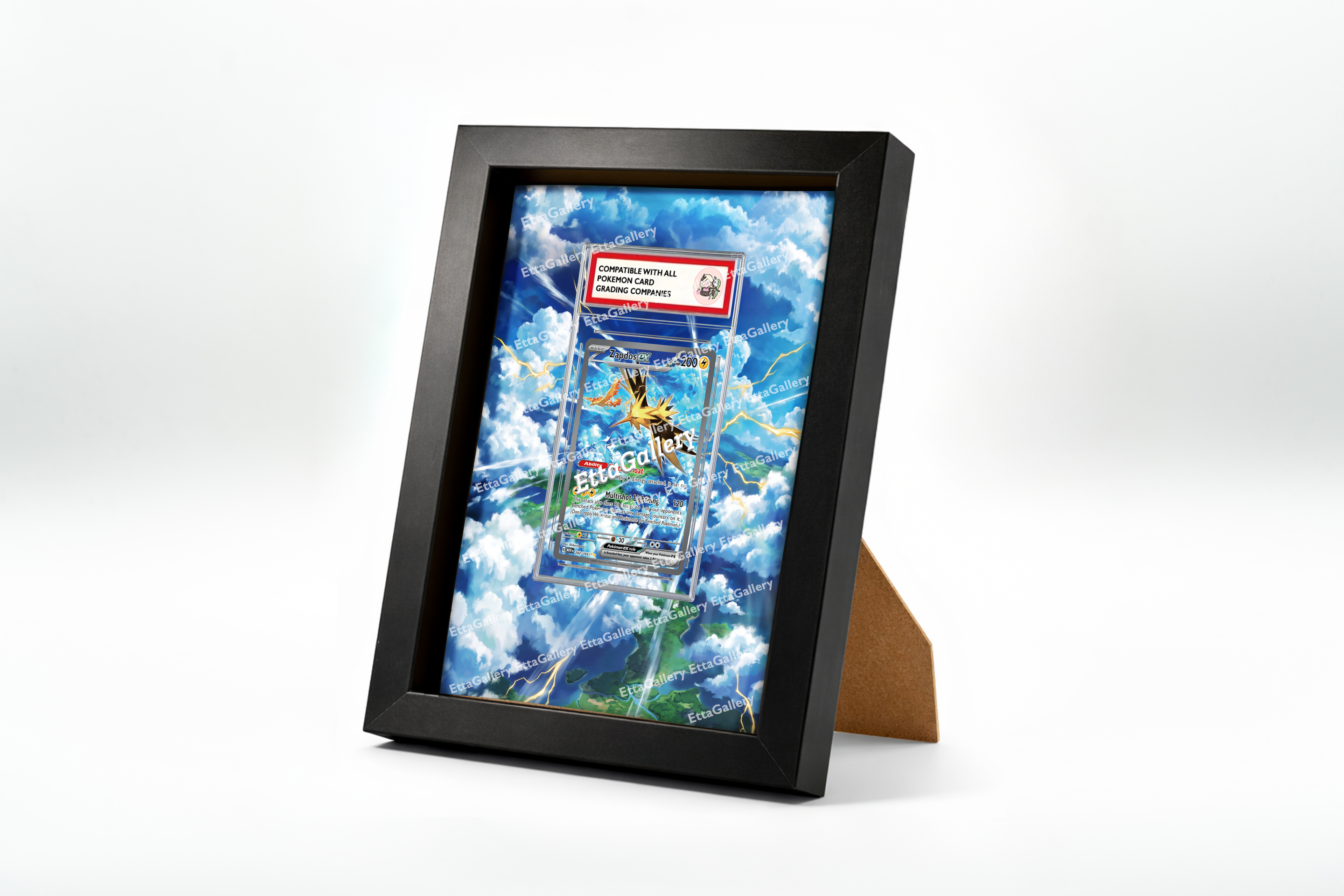 Zapdos ex from 151 | Display Frame